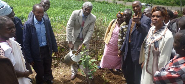 Sub county Administrator Baringo Central planting a tree at Morop in Baringo County