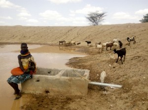Turkana lady herder awaits her flock to quench their thirst at the newly constructed water pan in Kalobeyei, Turkana County.